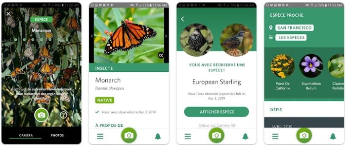 11 applications pour identifier les plantes (gratuites et payantes) - BDN
