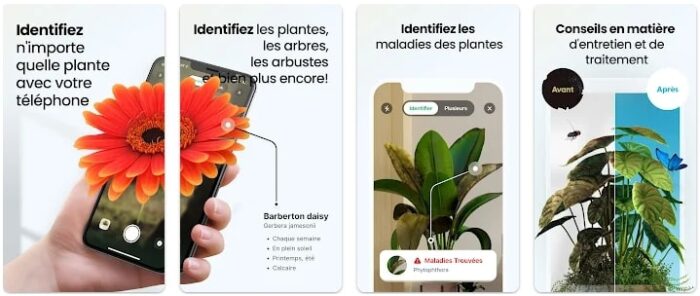 11 applications pour identifier les plantes (gratuites et payantes) - BDN