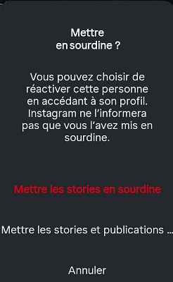 mettre-en-sourdine