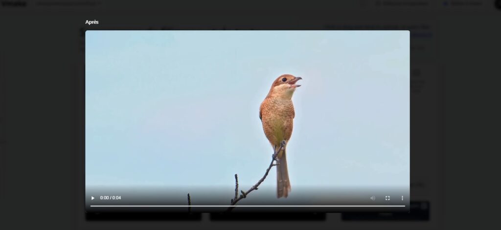 Vérifier et récupérer la vidéo