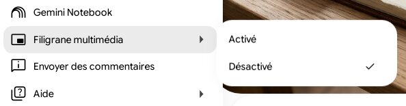 activer ou désactiver l'affichage du filigrane